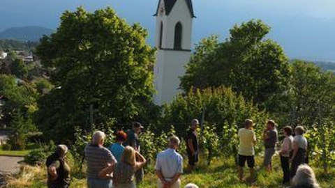 OGV Sulz-Röthis blickt hervorragendem Weinjahr entgegen